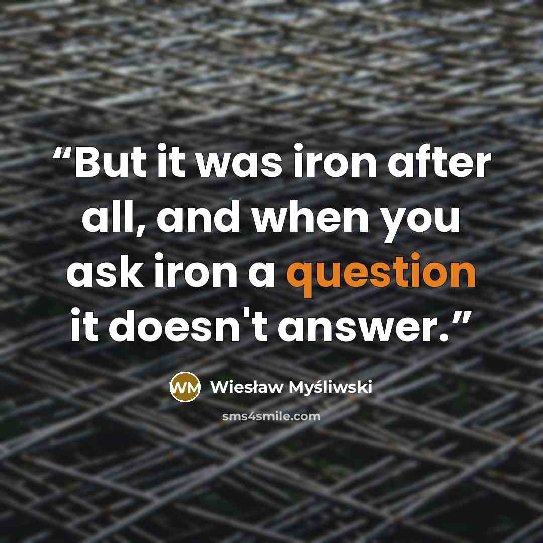 “But it was iron after all, and when you ask iron a question it doesn't answer.” quote by Wiesław Myśliwski