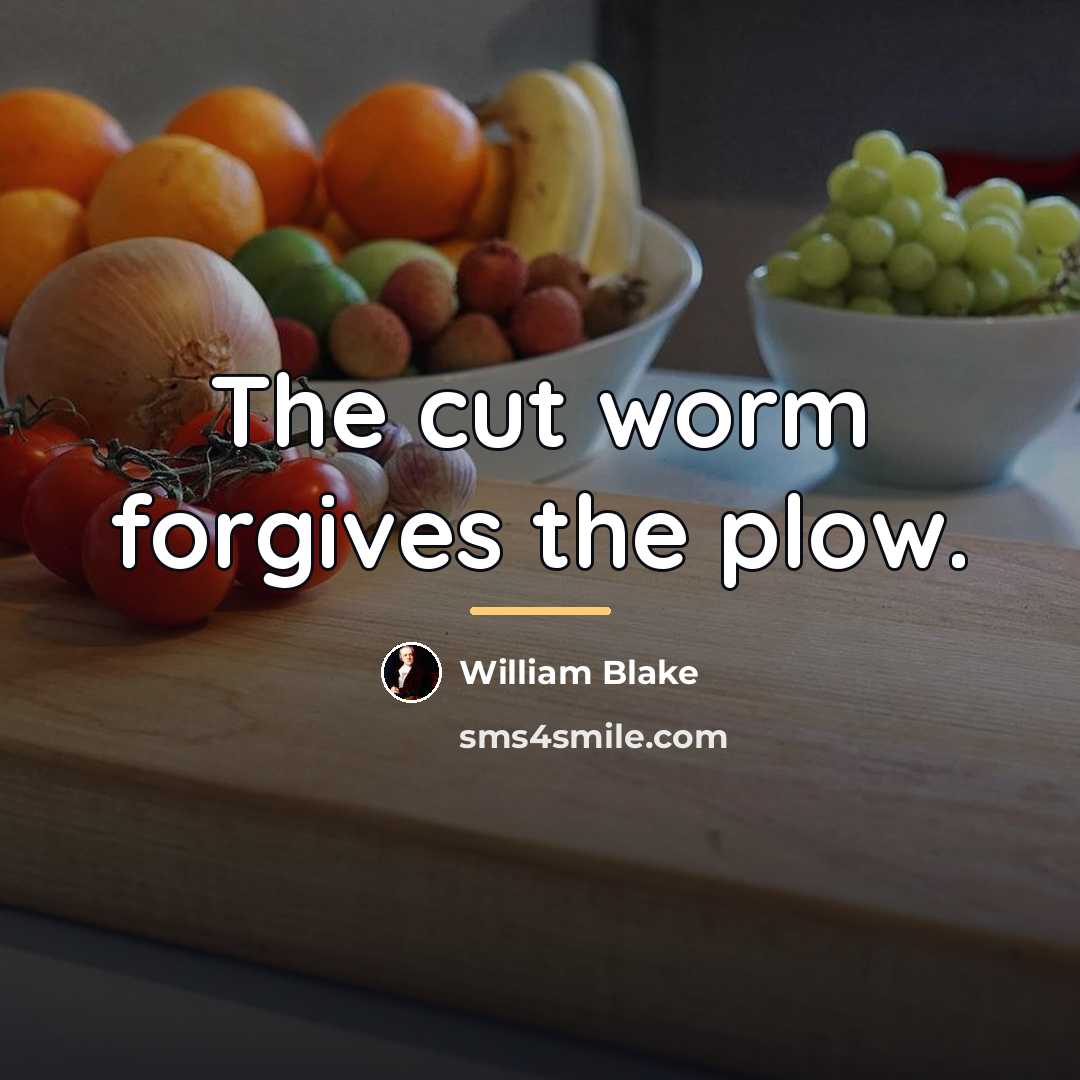 “The cut worm forgives the plow.…” quote by William Blake