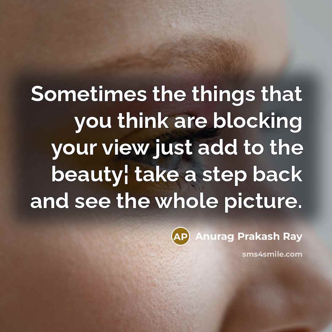“Sometimes the things that you think are blocking your view…” quote by Anurag Prakash Ray