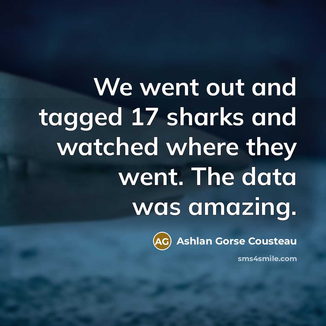 “We went out and tagged 17 sharks and watched where…” quote by Ashlan Gorse Cousteau