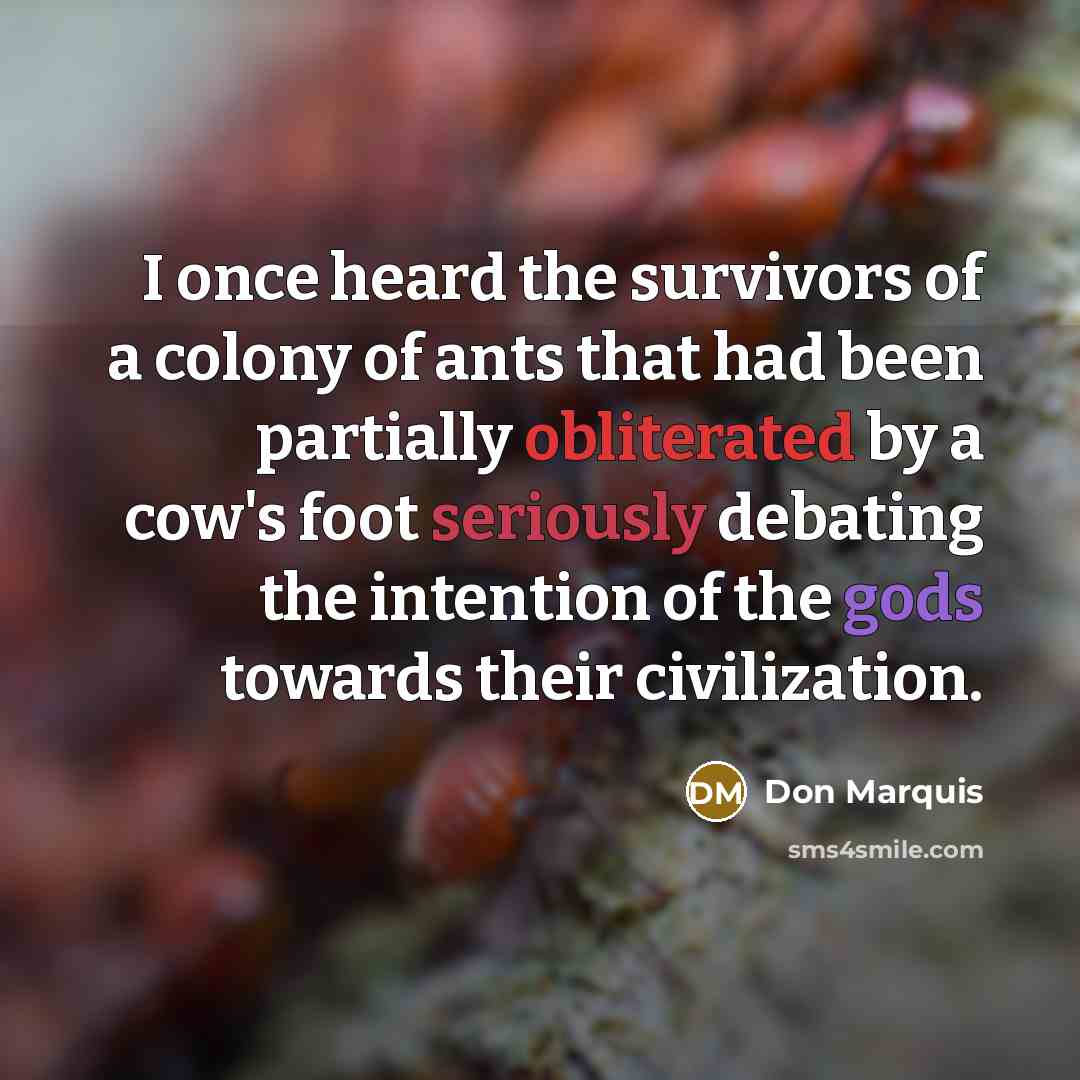 “I once heard the survivors of a colony of ants…” quote by Don Marquis