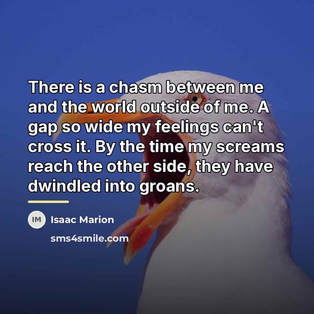 “There is a chasm between me and the world outside…” quote by Isaac Marion