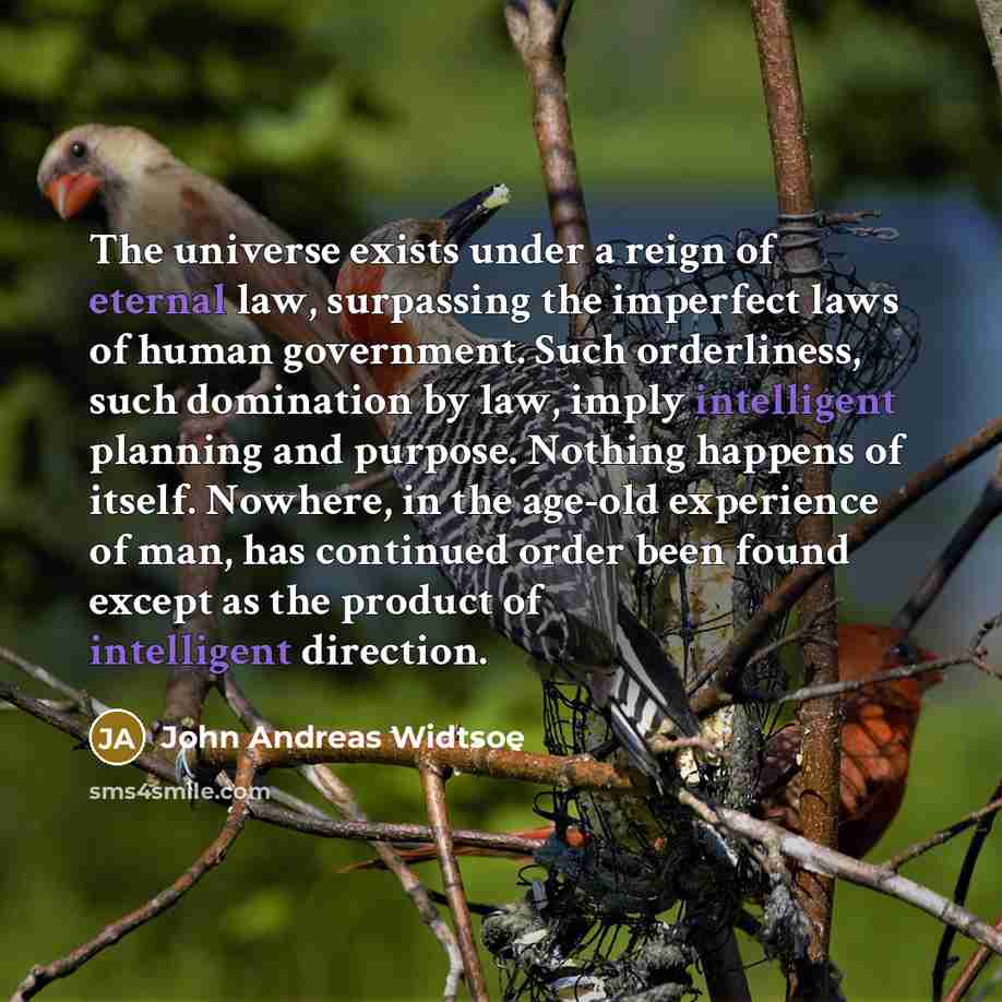 “The universe exists under a reign of eternal law, surpassing…” quote by John Andreas Widtsoe
