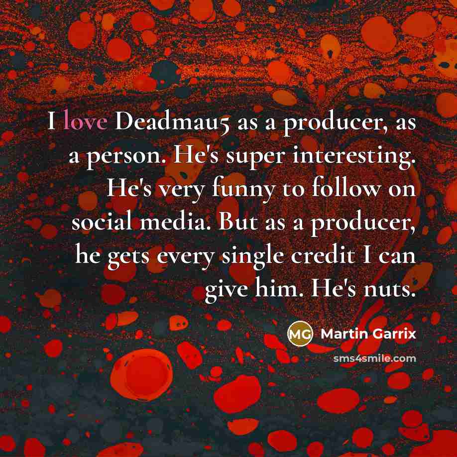 “I love Deadmau5 as a producer, as a person. He's…” quote by Martin Garrix