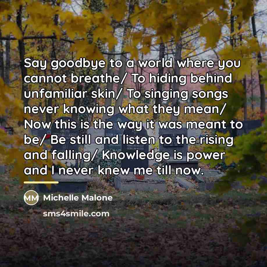 “Say goodbye to a world where you cannot breathe/ To…” quote by Michelle Malone