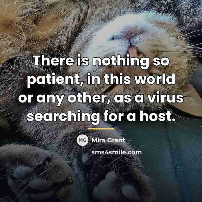 “There is nothing so patient, in this world or any…” quote by Mira Grant
