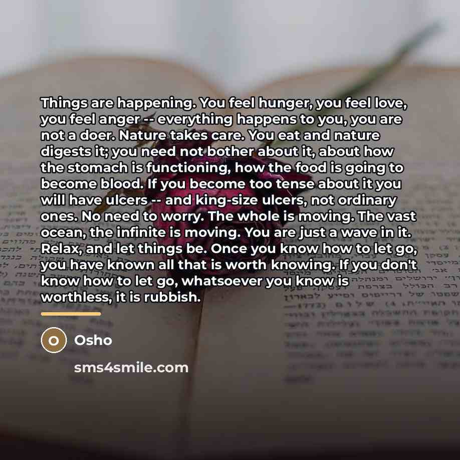 “Things are happening. You feel hunger, you feel love, you…” quote by OSHO