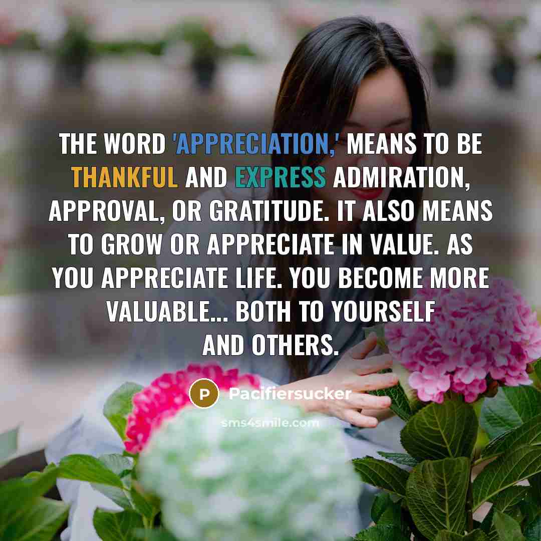 “The word 'Appreciation,' Means to be thankful and express admiration,…” quote by Pacifiersucker