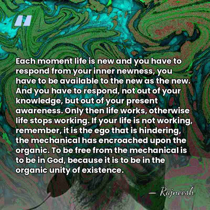 Each moment life is new and you have to respond from your&hellip; - Rajneesh