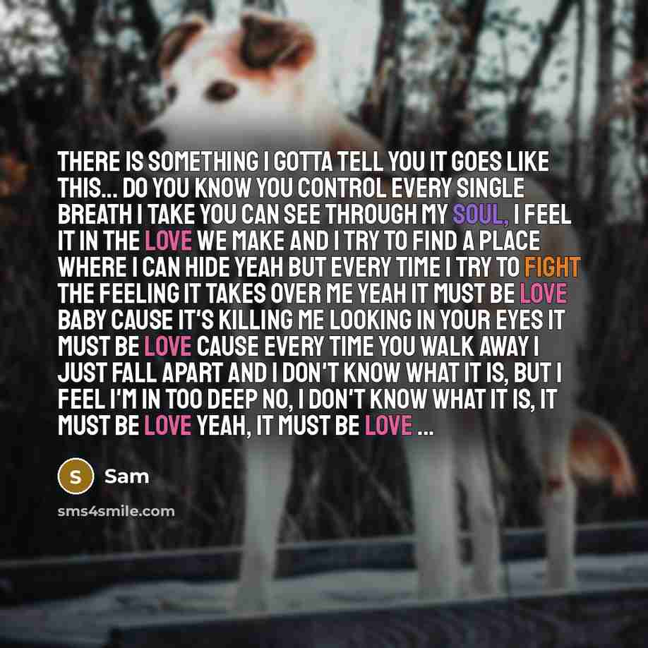 “There is something I gotta tell you It goes like this... Do you know you control every single breath I take You can see through my soul, I feel it in the love we make And I try to find a place where I can hide yeah But every time I try to fight the feeling it takes over me yeah It must be love…” quote by Sam