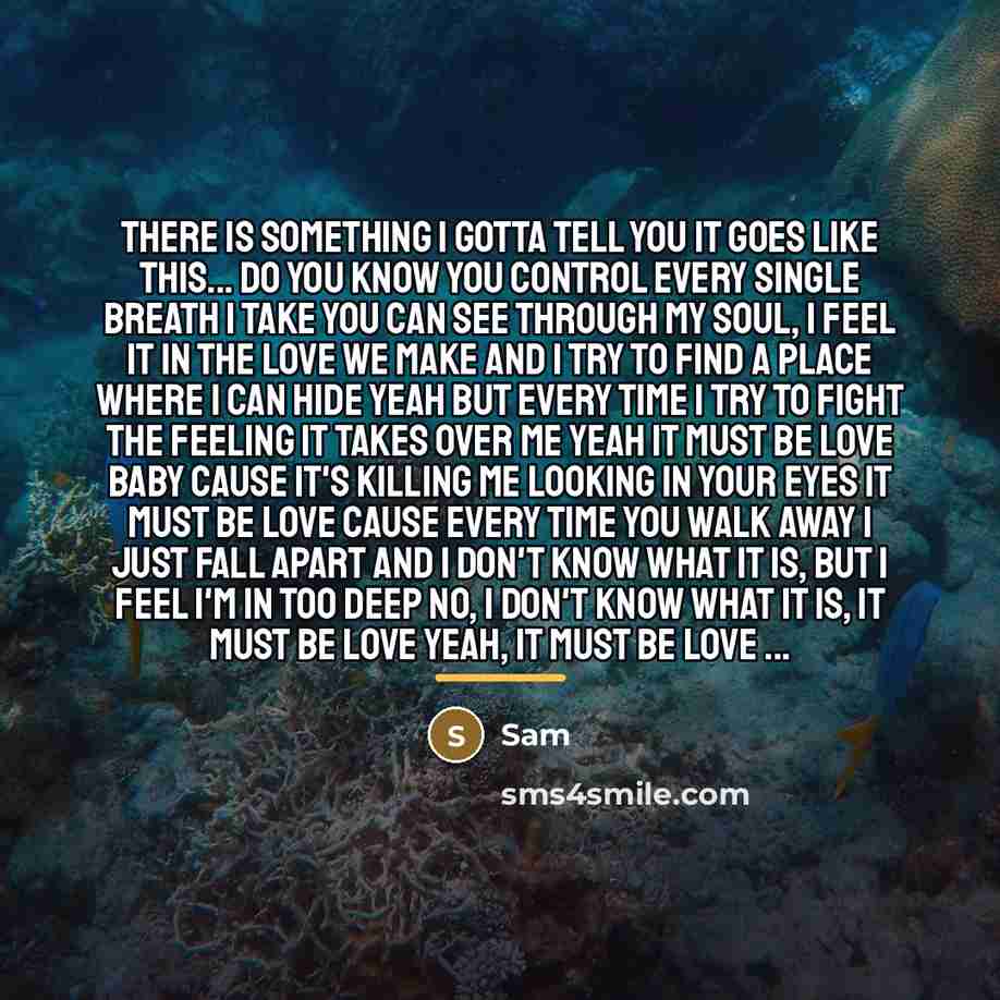 “There is something I gotta tell you It goes like…” quote by Sam