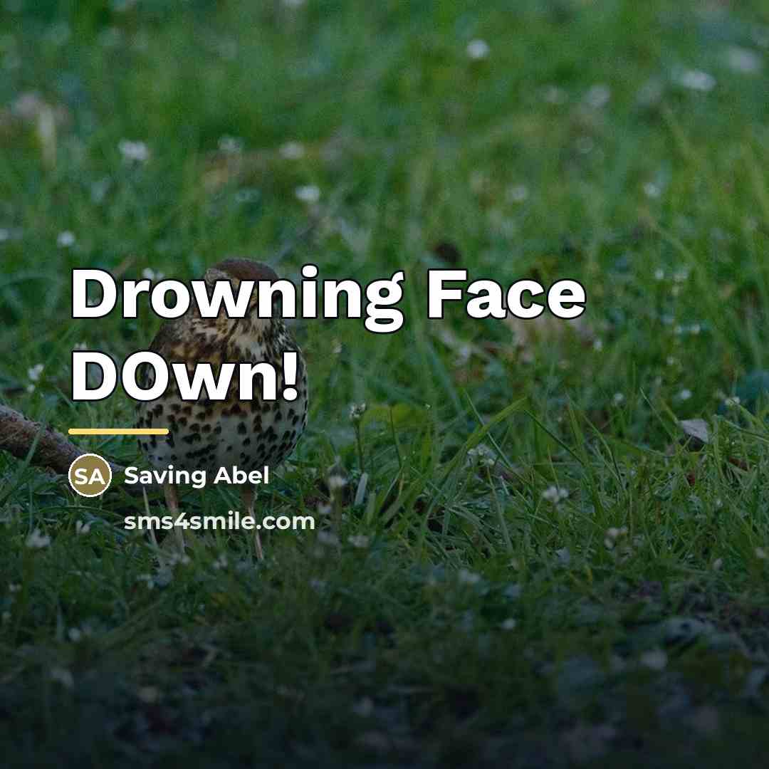 “Drowning Face DOwn!…” quote by Saving Abel