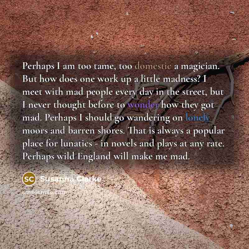 “Perhaps I am too tame, too domestic a magician. But…” quote by Susanna Clarke