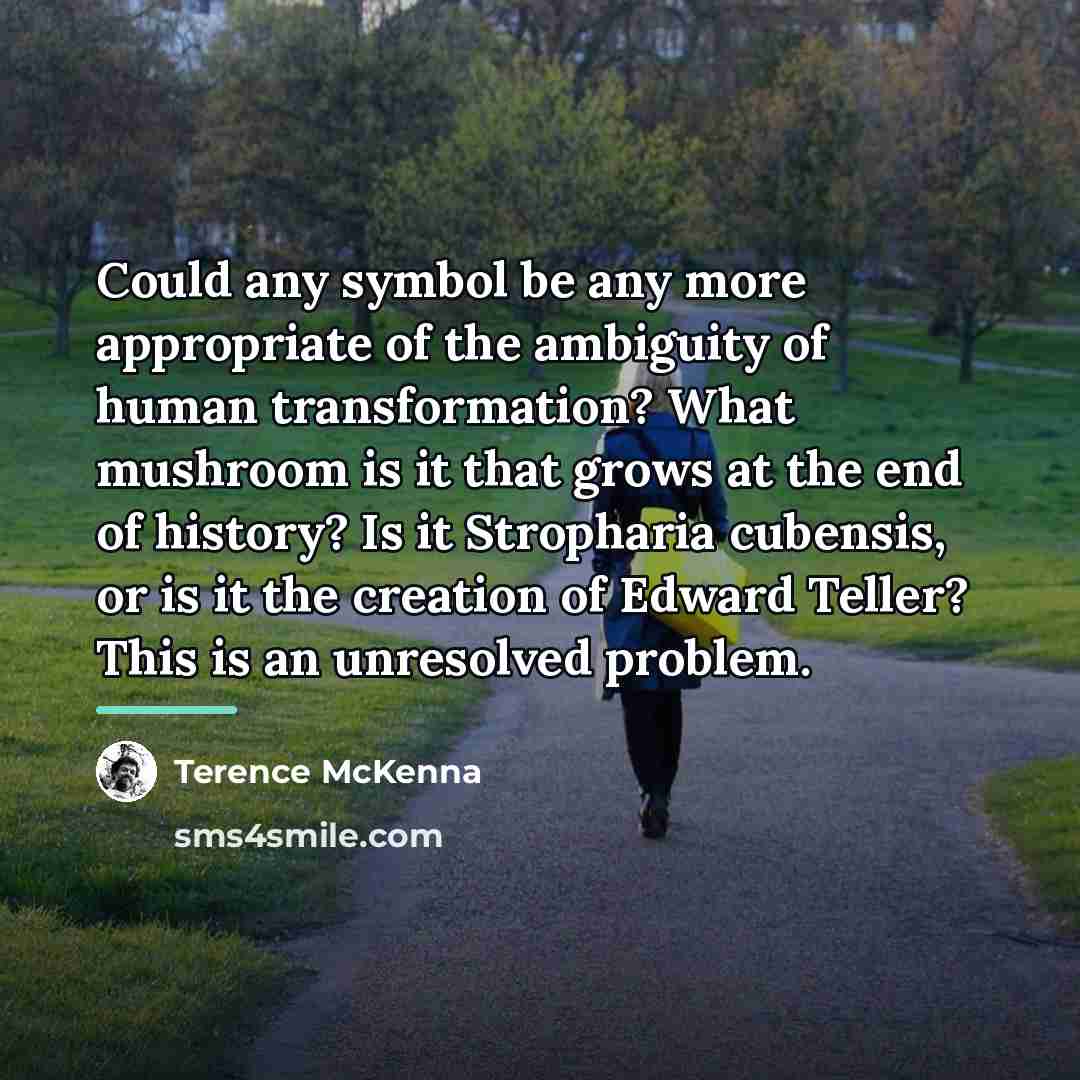 “Could any symbol be any more appropriate of the ambiguity…” quote by Terence McKenna
