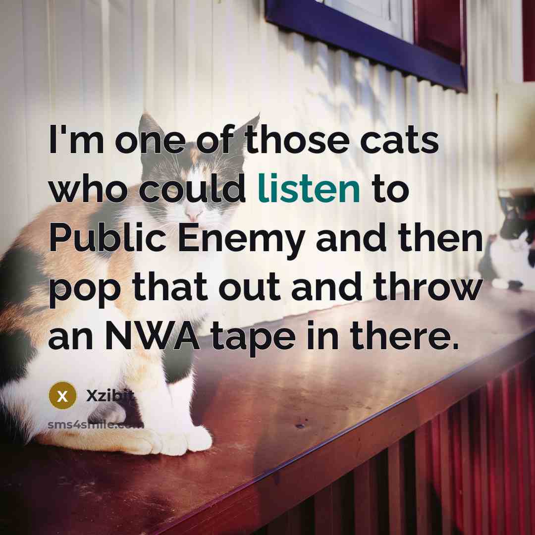 “I'm one of those cats who could listen to Public…” quote by Xzibit