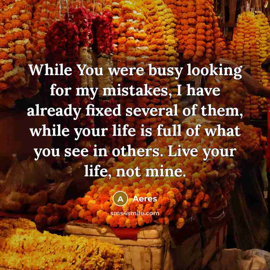 “While You were busy looking for my mistakes, I have…” quote by Aeres