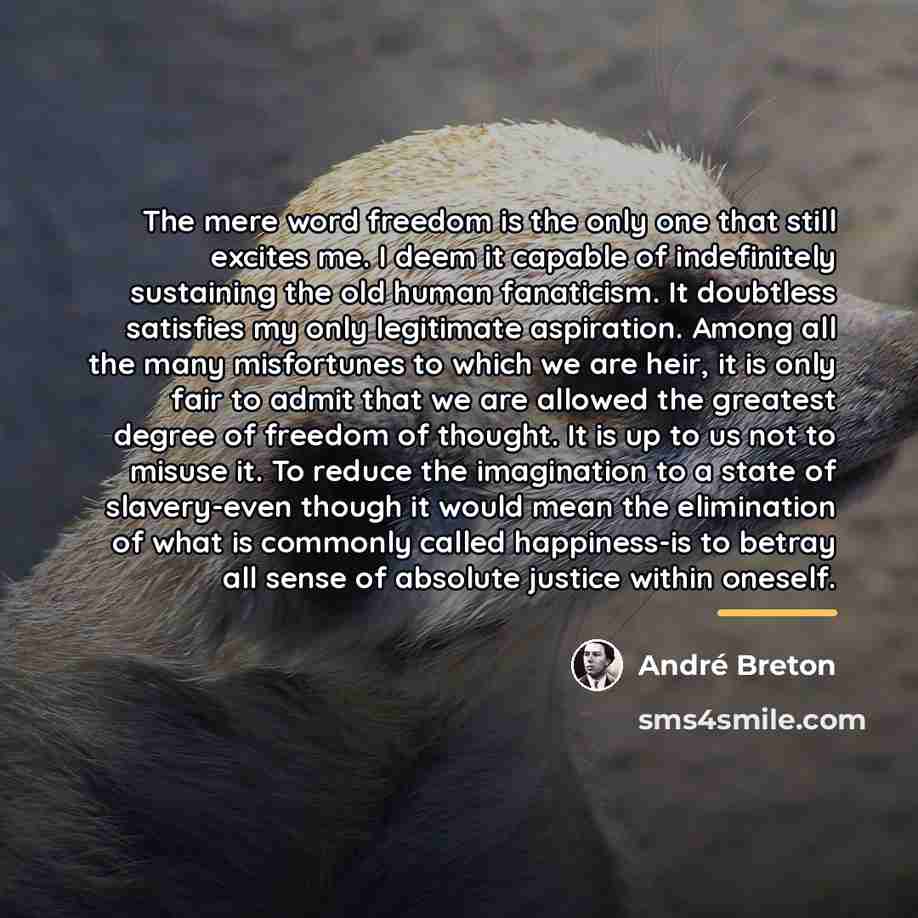 “The mere word freedom is the only one that still…” quote by Andre Breton