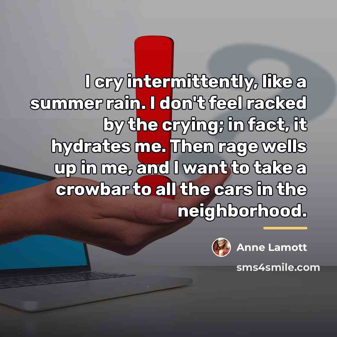 “I cry intermittently, like a summer rain. I don't feel…” quote by Anne Lamott