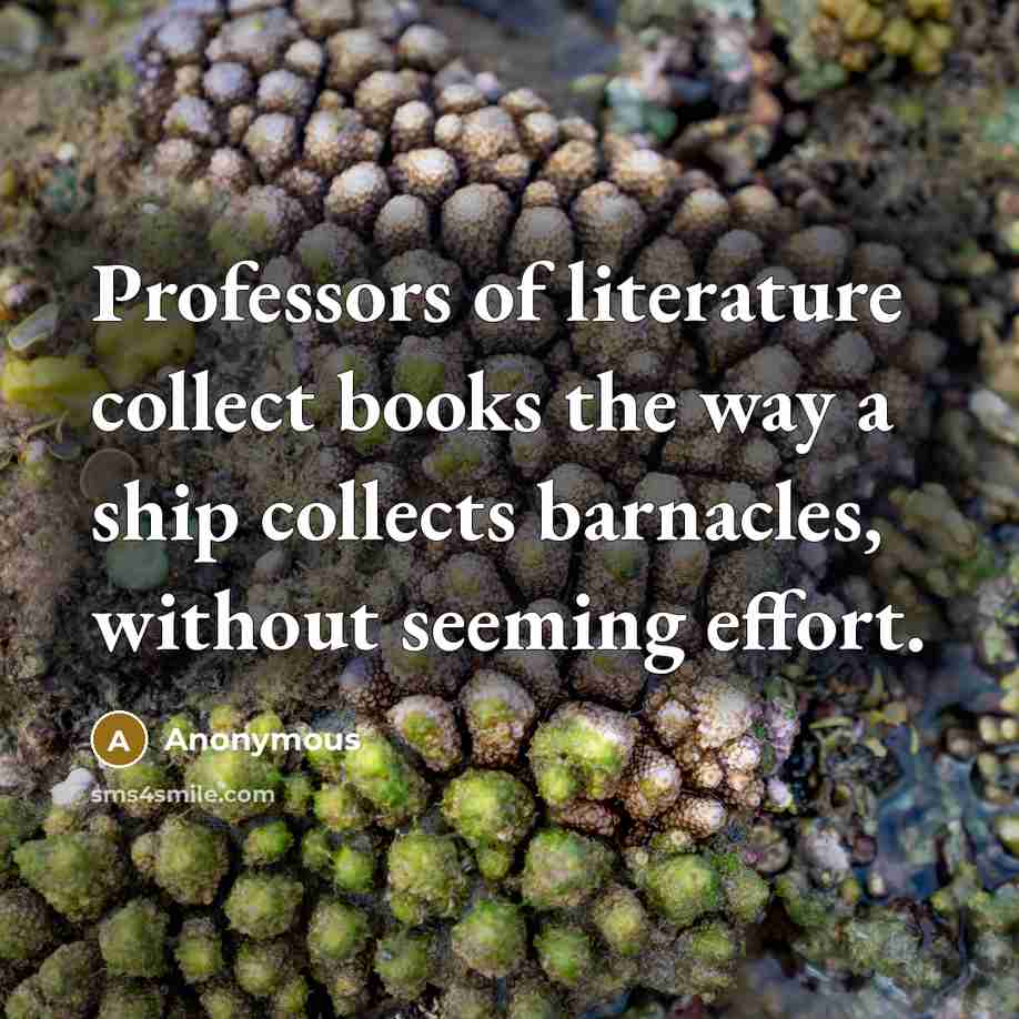 “Professors of literature collect books the way a ship collects…” quote by Anonymous