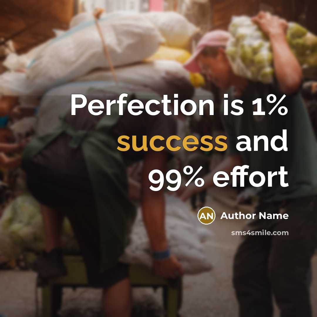 “Perfection is 1% success and 99% effort…” quote by Author Name