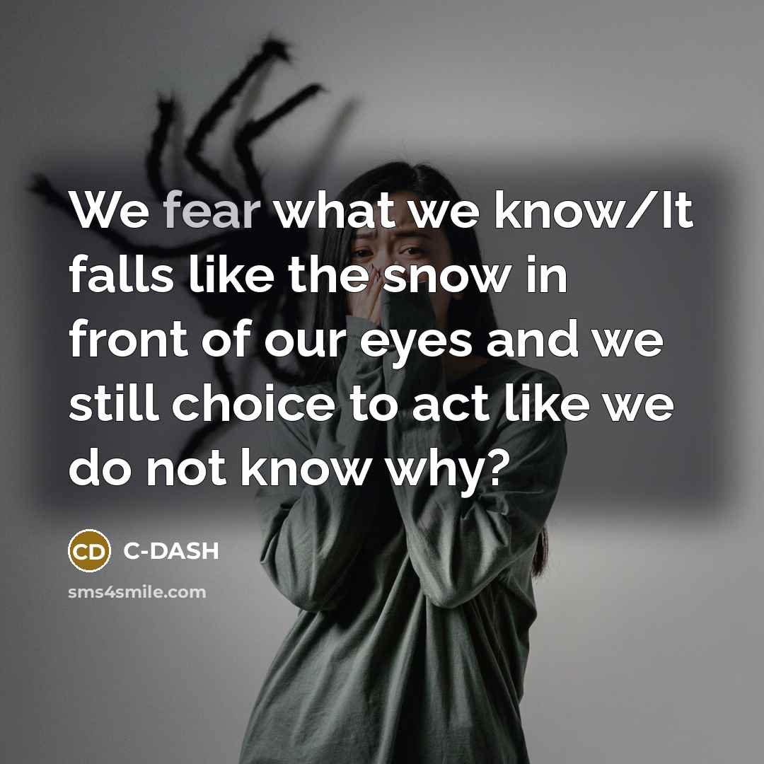 “We fear what we know/It falls like the snow in…” quote by C-DASH