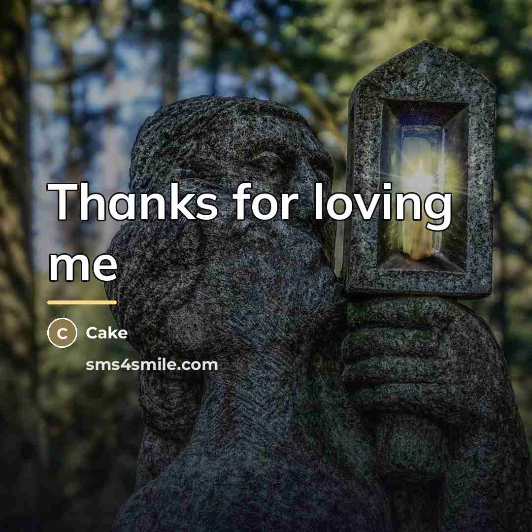 “Thanks for loving me…” quote by Cake