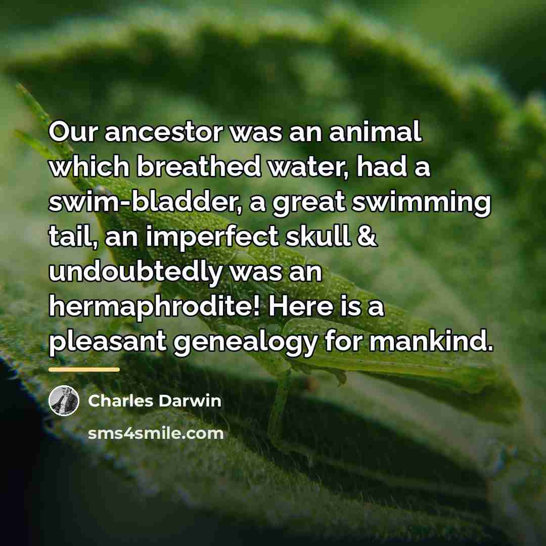 “Our ancestor was an animal which breathed water, had a…” quote by Charles Darwin