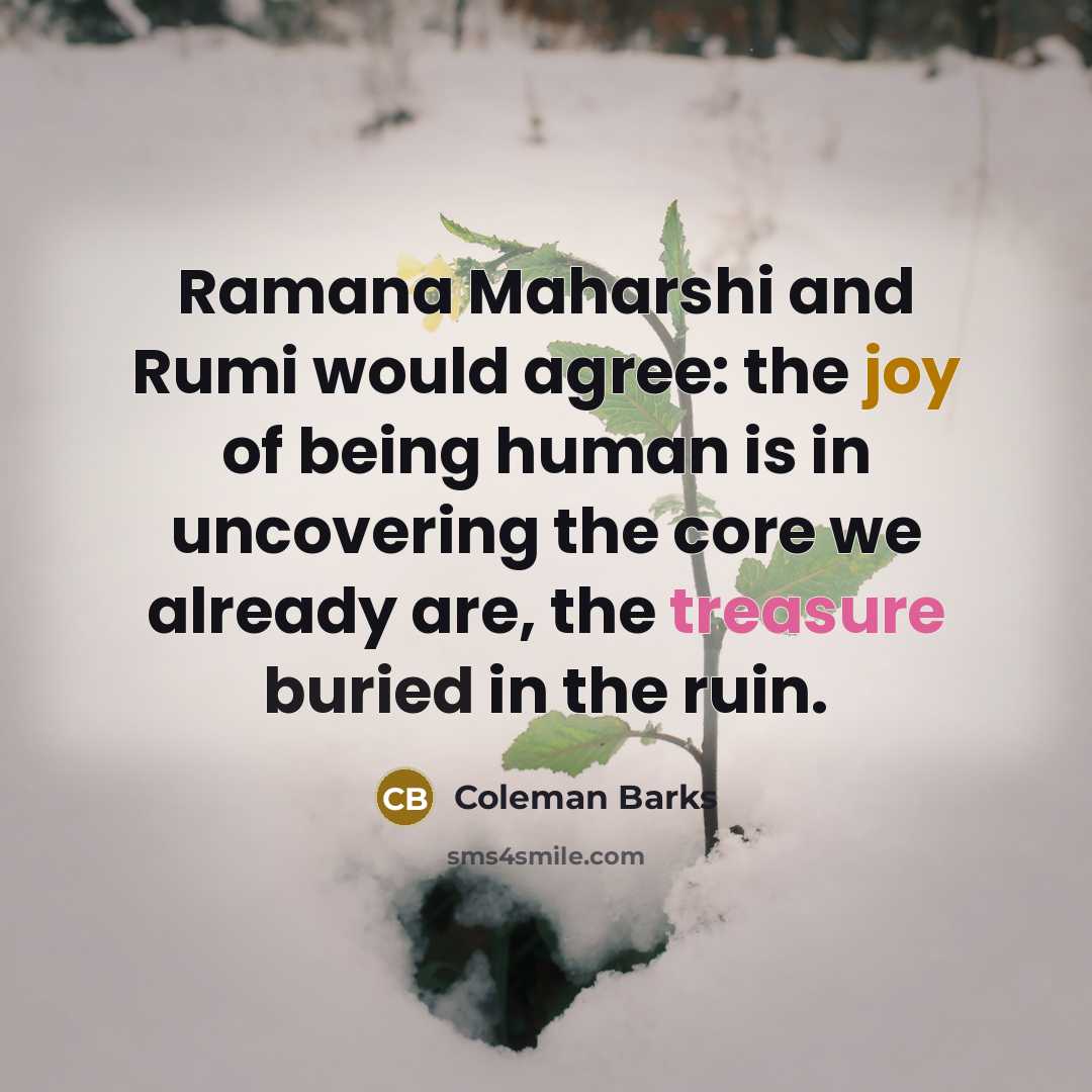 “Ramana Maharshi and Rumi would agree: the joy of being…” quote by Coleman Barks