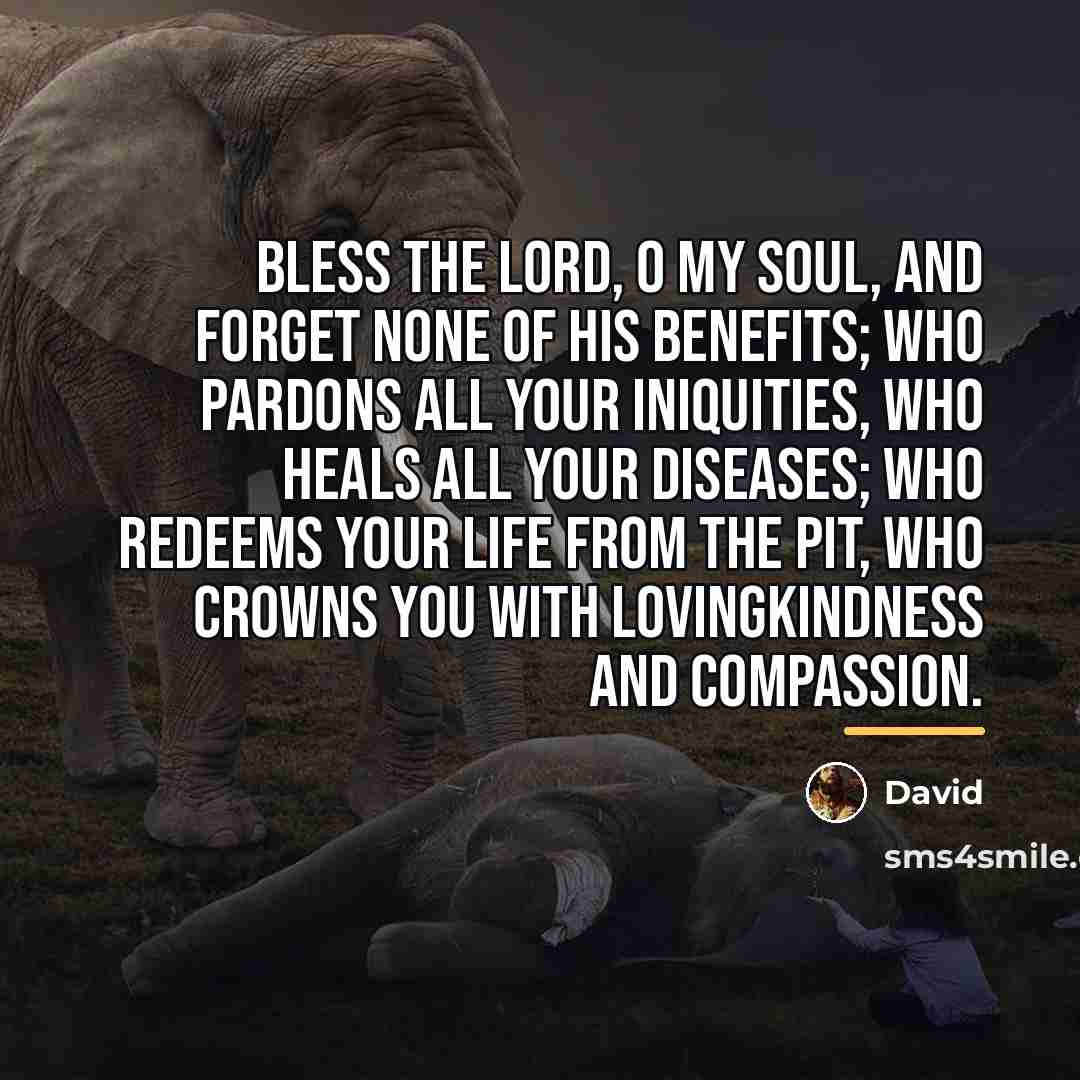 “Bless the Lord, o my soul, and forget none of…” quote by David