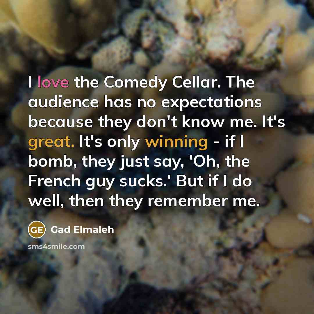“I love the Comedy Cellar. The audience has no expectations because they don't know me. It's great. It's only winning - if I bomb, they just say, 'Oh, the French guy sucks.' But if I do well, then they remember me.” quote by Gad Elmaleh