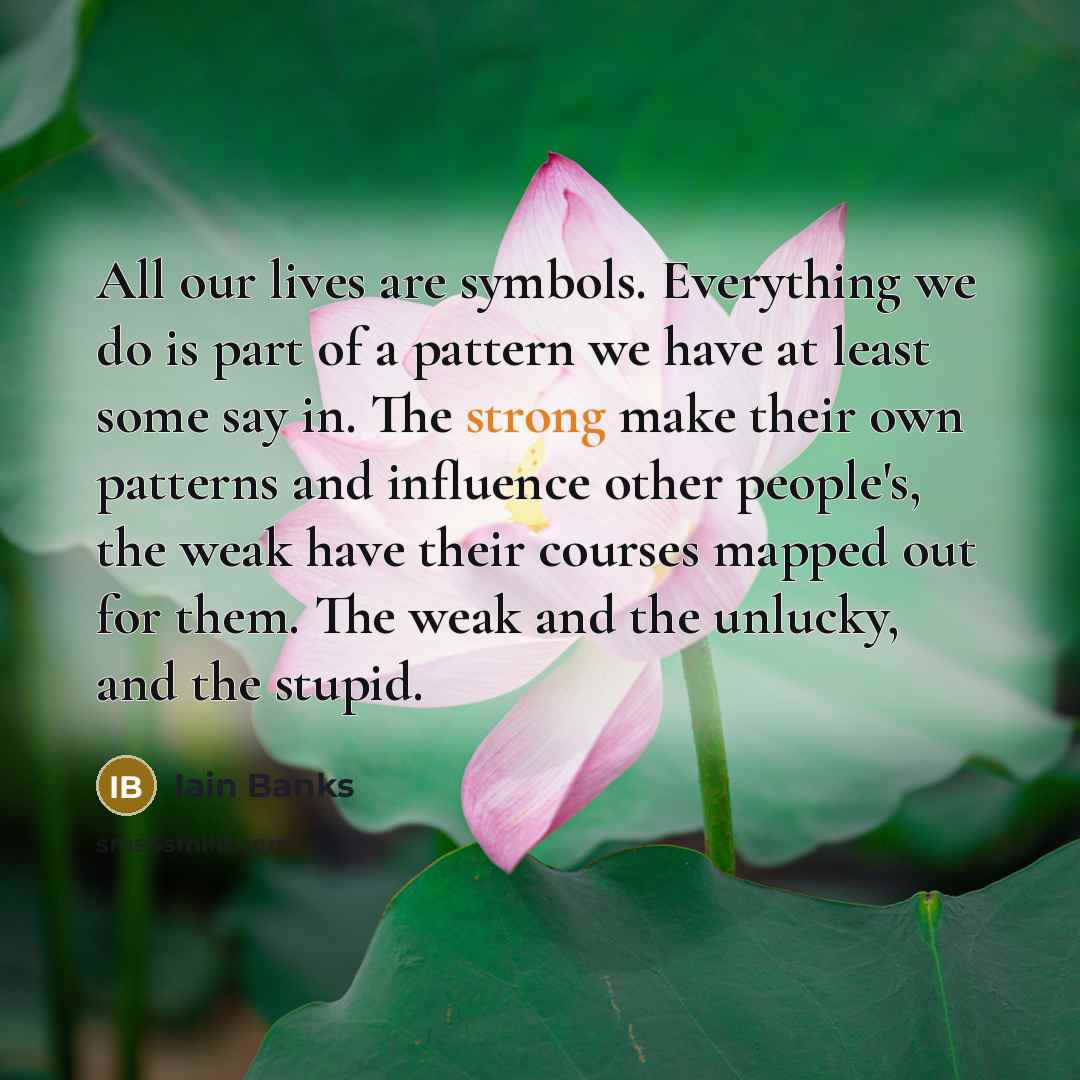 “All our lives are symbols. Everything we do is part…” quote by Iain Banks