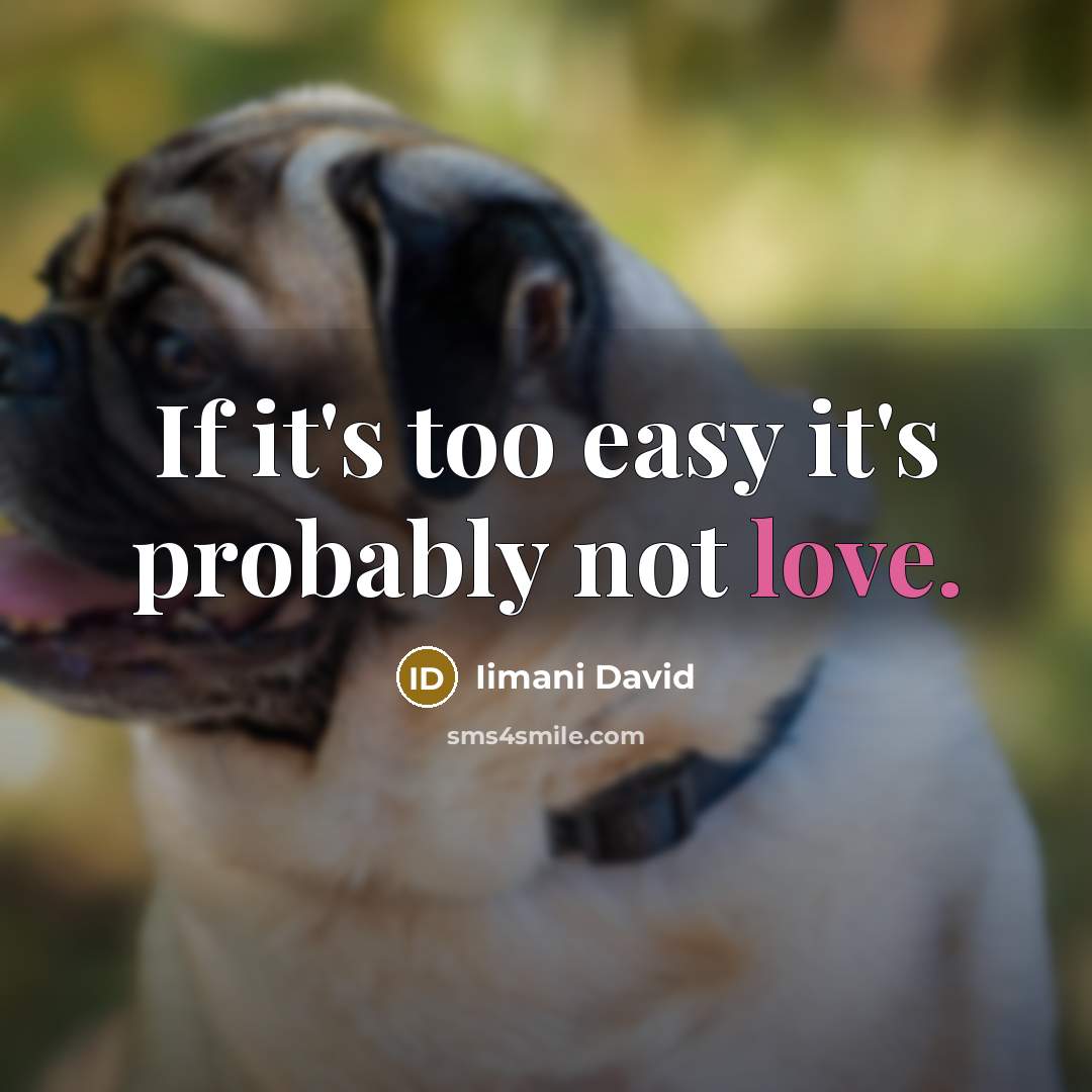 “If it's too easy it's probably not love.…” quote by Iimani David