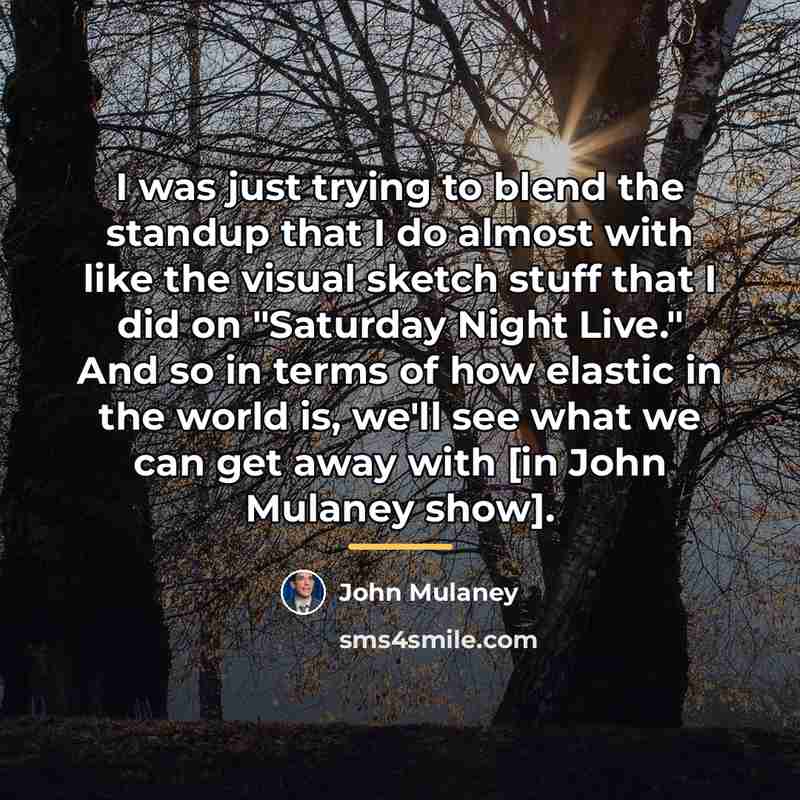 “I was just trying to blend the standup that I…” quote by John Mulaney