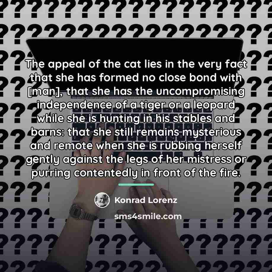 “The appeal of the cat lies in the very fact…” quote by Konrad Lorenz