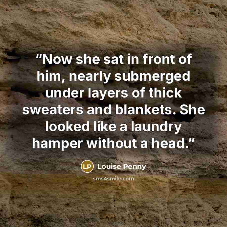 “Now she sat in front of him, nearly submerged under layers of thick sweaters and blankets. She looked like a laundry hamper without a head.” quote by Louise Penny