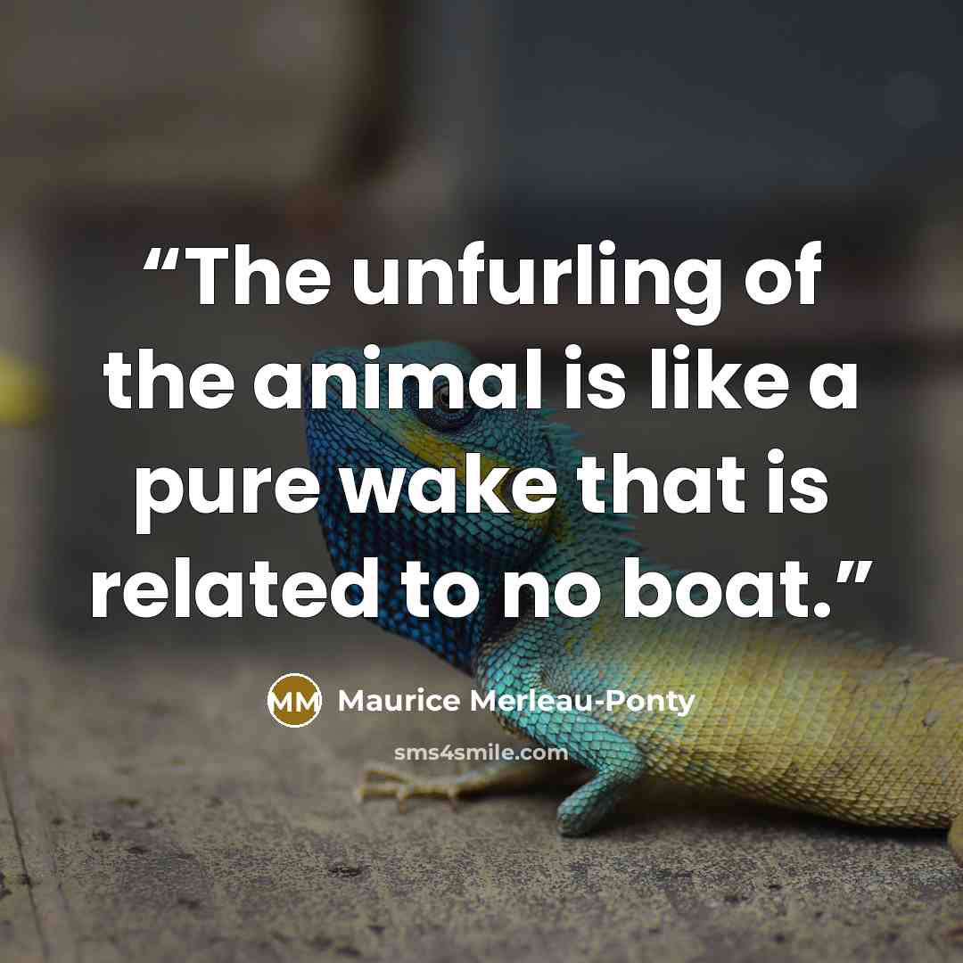 “The unfurling of the animal is like a pure wake that is related to no boat.” quote by Maurice Merleau-Ponty