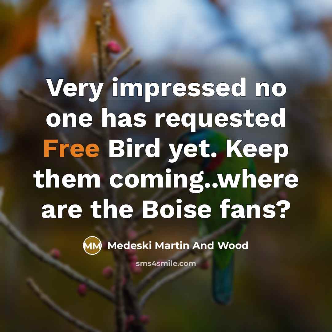 “Very impressed no one has requested Free Bird yet. Keep them coming..where are the Boise fans?” quote by Medeski Martin And Wood