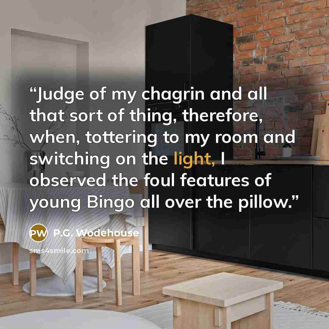 “Judge of my chagrin and all that sort of thing, therefore, when, tottering to my room and switching on the light, I observed the foul features of young Bingo all over the pillow.” quote by P.G. Wodehouse