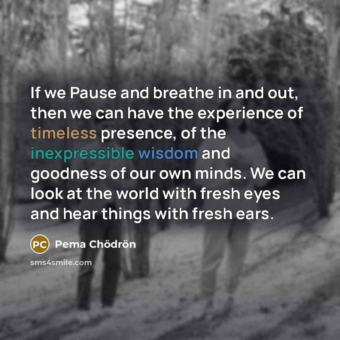 “If we Pause and breathe in and out, then we…” quote by Pema Chodron