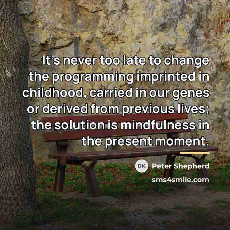“It's never too late to change the programming imprinted in…” quote by Peter Shepherd