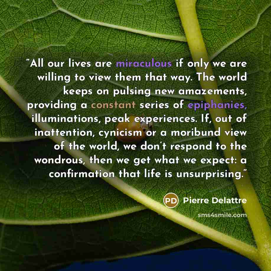 “All our lives are miraculous if only we are willing to view them that way. The world keeps on pulsing new amazements, providing a constant series of epiphanies, illuminations, peak experiences. If, out of inattention, cynicism or a moribund view of the world, we don’t respond to the wondrous, then…” quote by Pierre Delattre