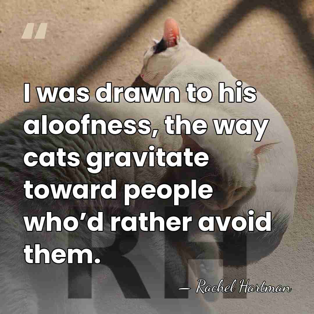 I was drawn to his aloofness, the way cats gravitate toward people&hellip; - Rachel Hartman