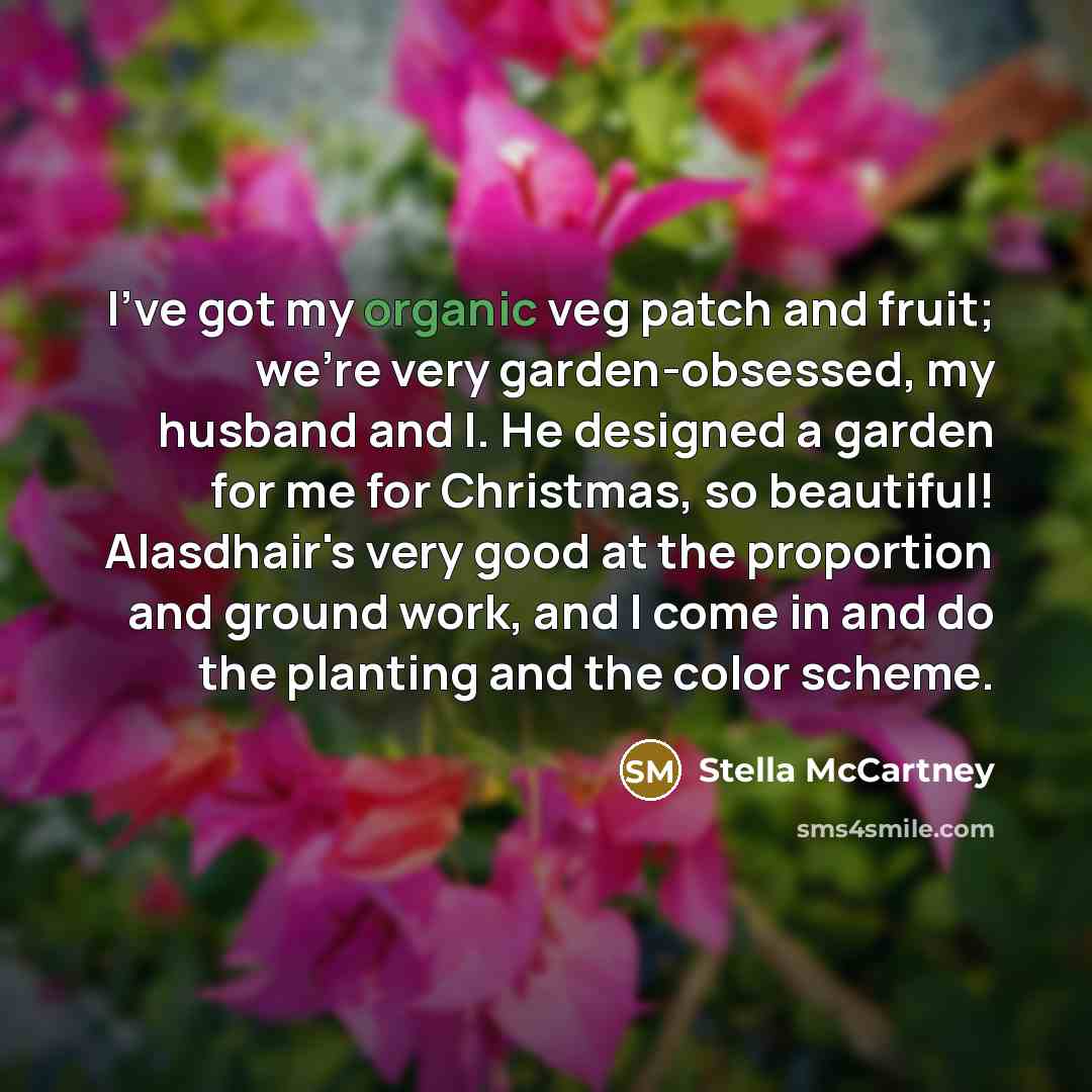 “I've got my organic veg patch and fruit; we're very…” quote by Stella McCartney