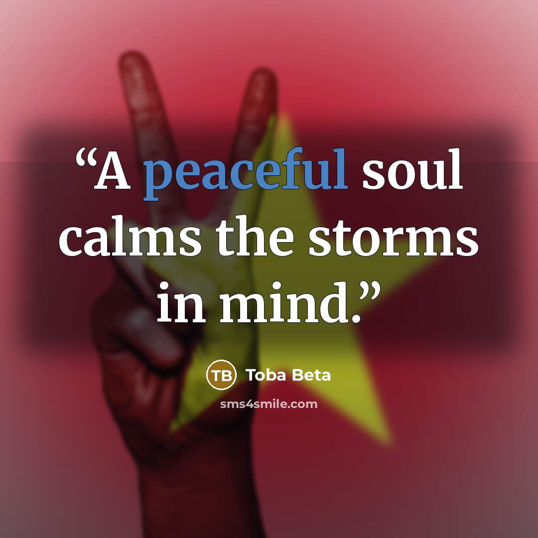 “A peaceful soul calms the storms in mind.” quote by Toba Beta