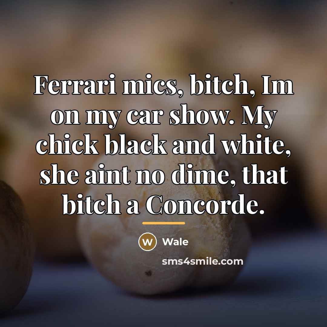 “Ferrari mics, bitch, Im on my car show. My chick…” quote by Wale
