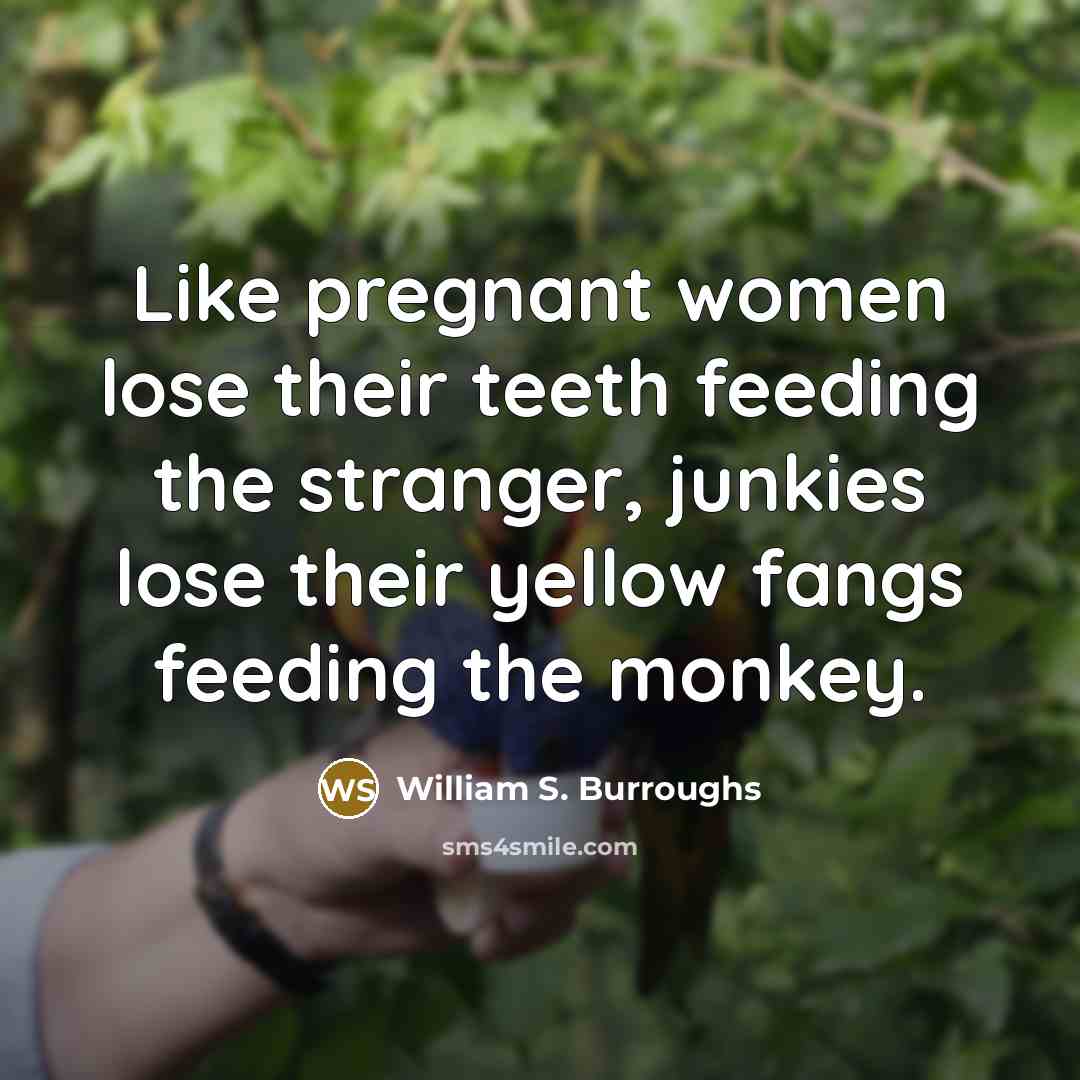 “Like pregnant women lose their teeth feeding the stranger, junkies…” quote by William S. Burroughs