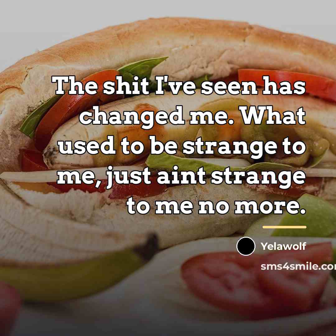 “The shit I've seen has changed me. What used to…” quote by Yelawolf