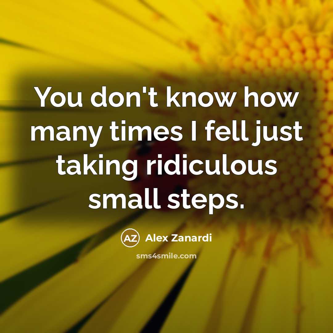 “You don't know how many times I fell just taking…” quote by Alex Zanardi