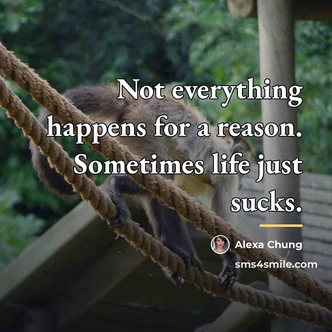 “Not everything happens for a reason. Sometimes life just sucks.…” quote by Alexa Chung