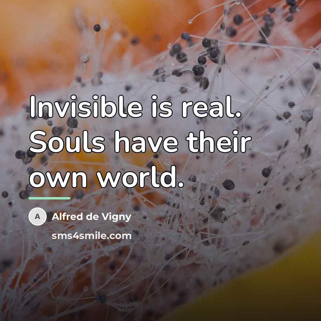 “Invisible is real. Souls have their own world.…” quote by Alfred de Vigny